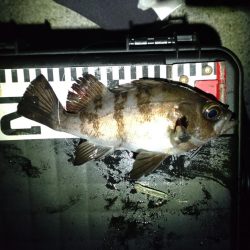 初めてのエリア