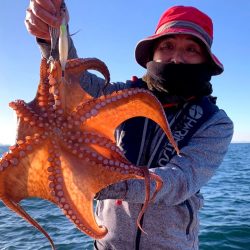 師走のタコ釣り！