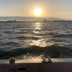 師走のタコ釣り！