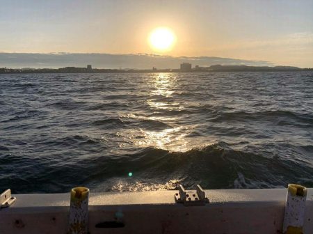 師走のタコ釣り！