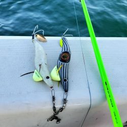 師走のタコ釣り！