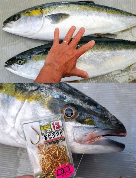 師走の寒ブリ＋ワラサ釣り！