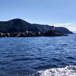 師走の寒ブリ＋ワラサ釣り！