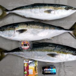 師走の寒ブリ＋ワラサ釣り！