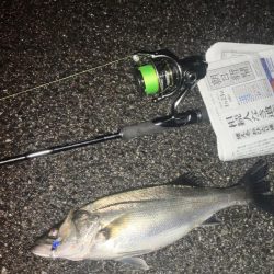 ががっときました。