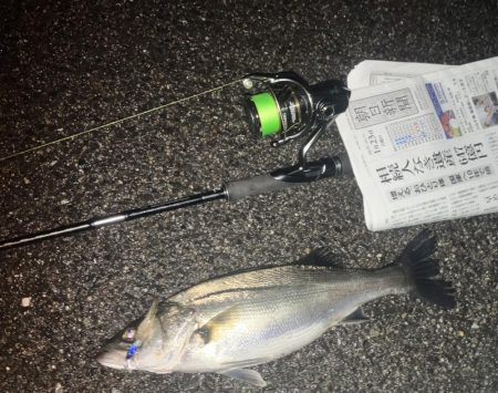 ががっときました。