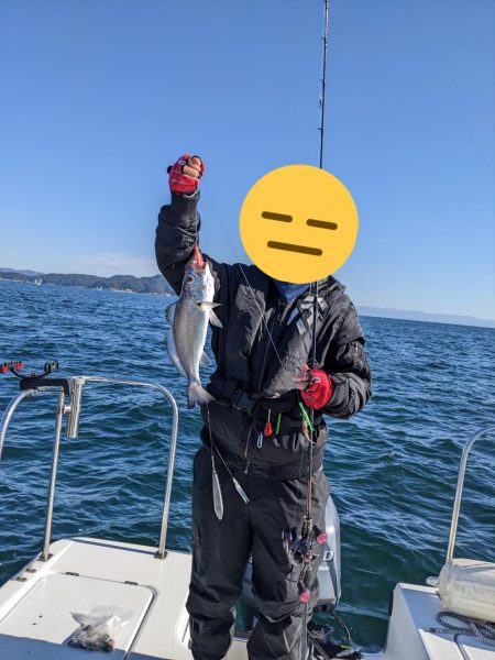 今回はレンタルボートで