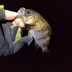 そんなオイシイ話はありません