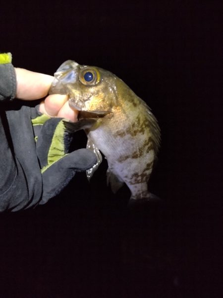 そんなオイシイ話はありません