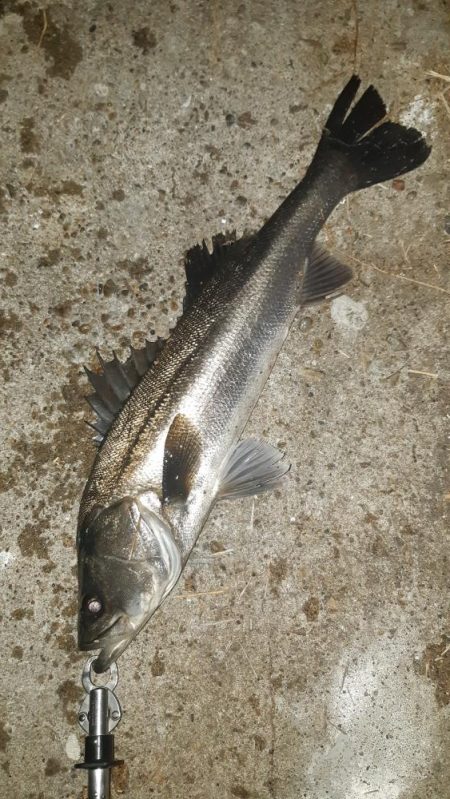 深夜から朝にかけて