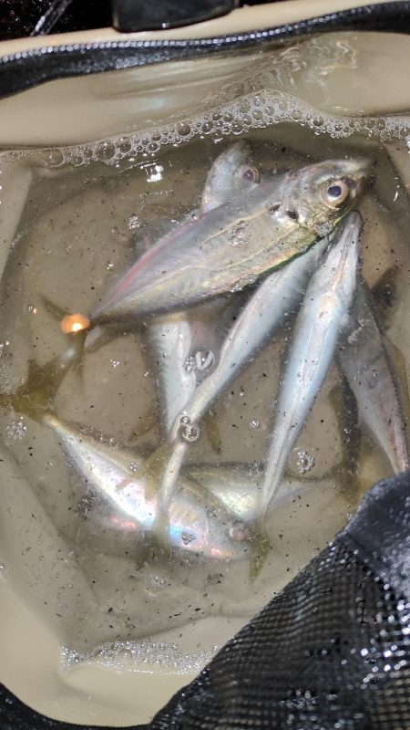 なんとか出来そう