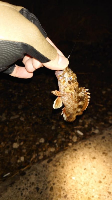 わかってはいたものの