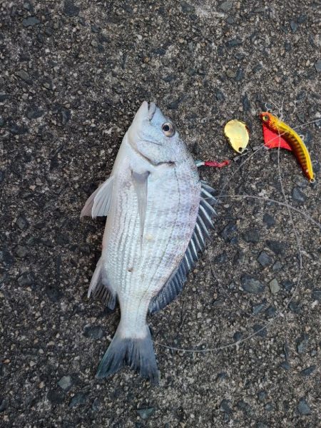 今年初の遠征（前半）