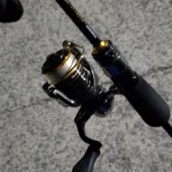 ナイトアジング