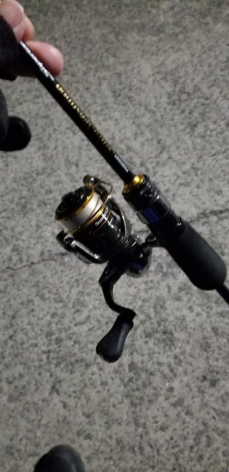 ナイトアジング