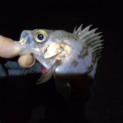 ワケあり短時間