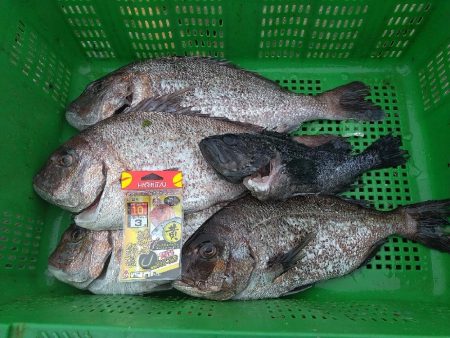 海上釣り堀でのイベント