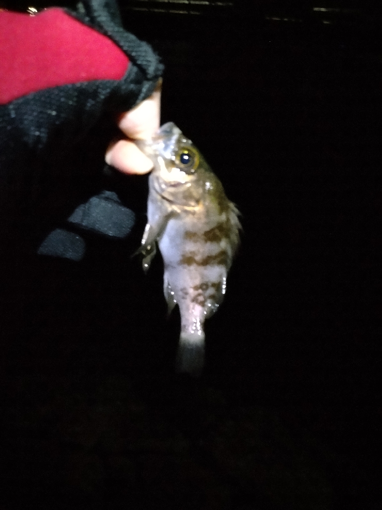 厳しい季節です