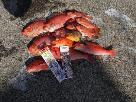 チカメキントキ狙いで