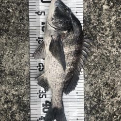 イチノ兄弟（兄）釣果！