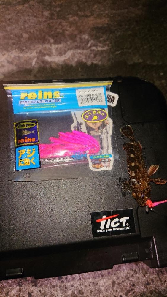 年明け1発目に事故🎵