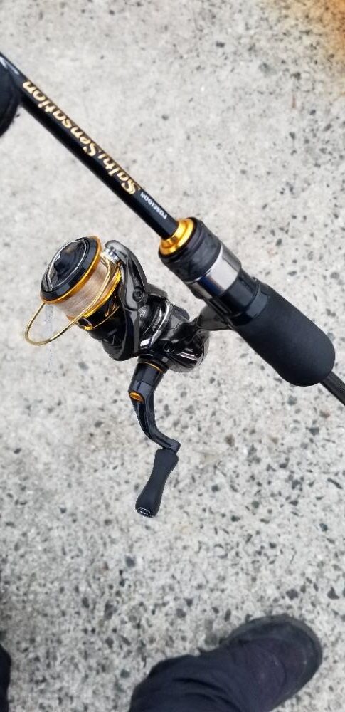 湯浅で尺アジ3匹