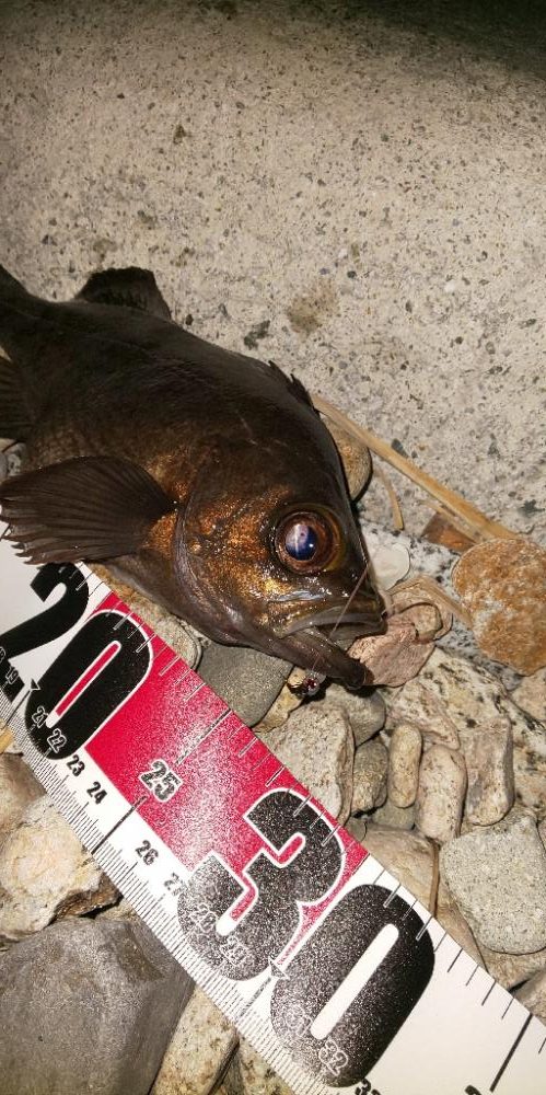 フロートアジング