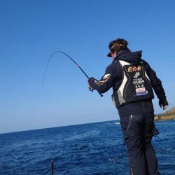 和歌山市江（吉丸渡船）でグレ釣り