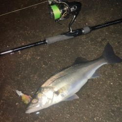 2023年初チーバス