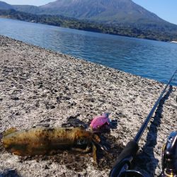 帰省エギングIN桜島