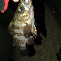 フロートゲーム～