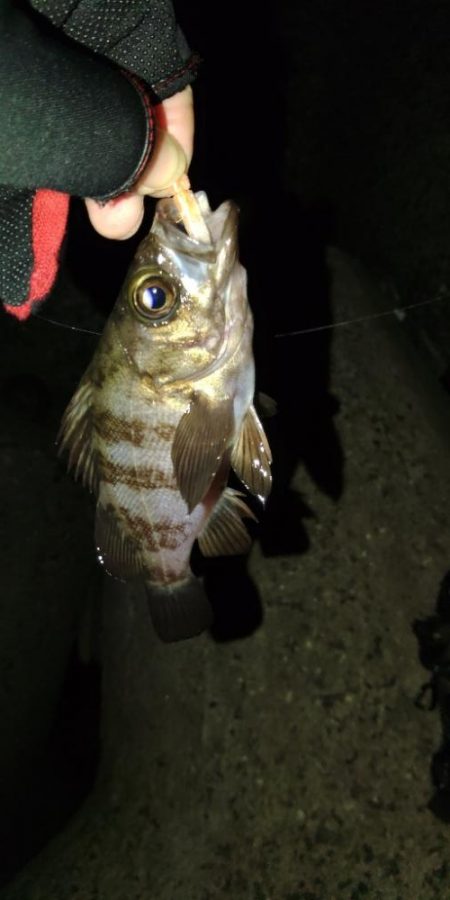 フロートゲーム～