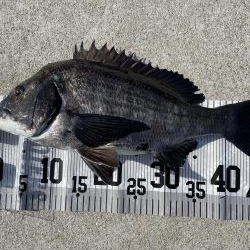 イチノ兄弟(兄)釣果!