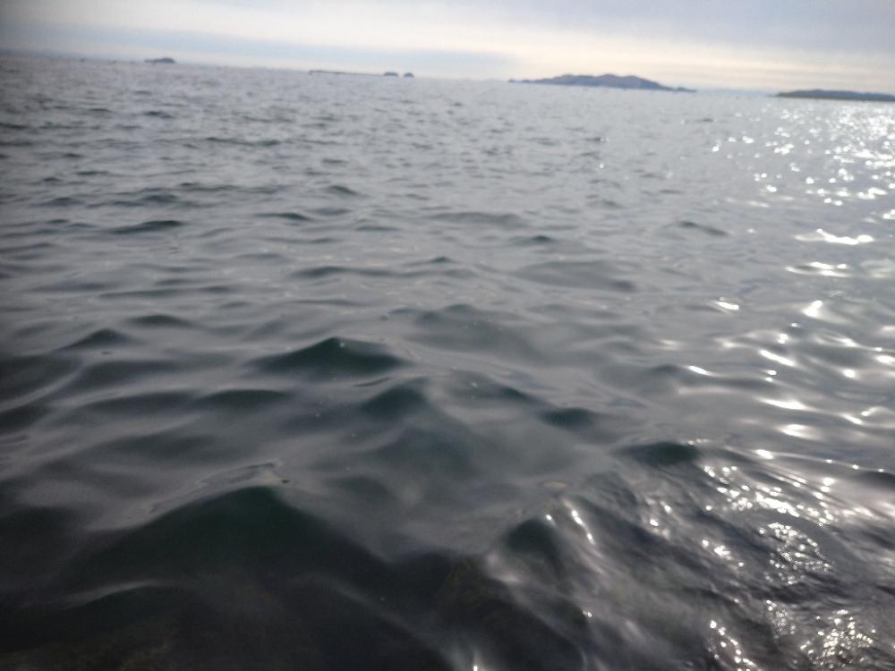 寒波前のフカセ