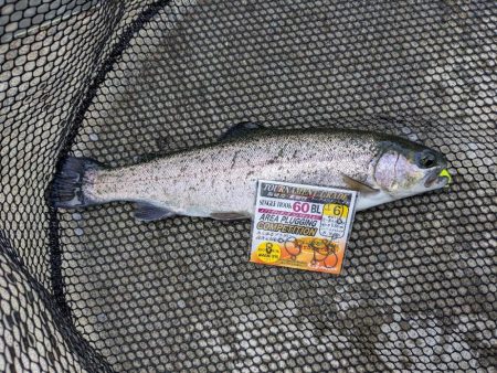 2022年 釣り納め