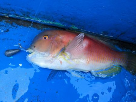 激渋でした (ㅇ_ㅇ)