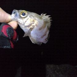 厳しい季節です