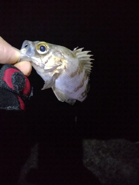 厳しい季節です