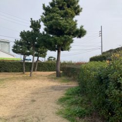 ライトショアジギング