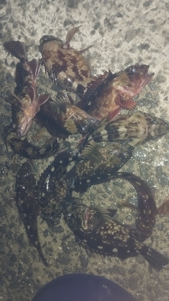 唐揚げが食べたくて