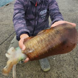 2023年 初キロアップ