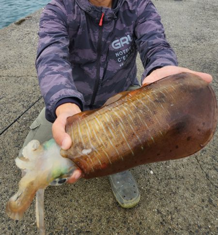 2023年 初キロアップ