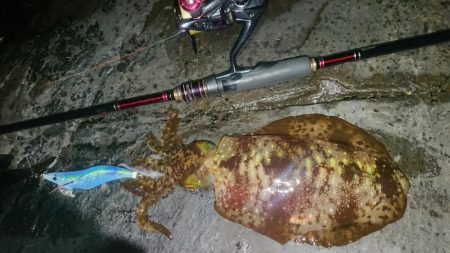 極寒・雪エギングIN対馬