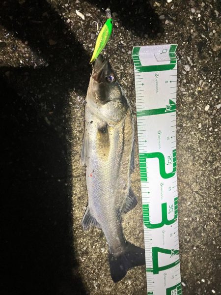 2023年第1号は雨の中の価値ある1匹