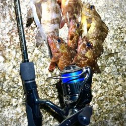 newロッド入魂🐟