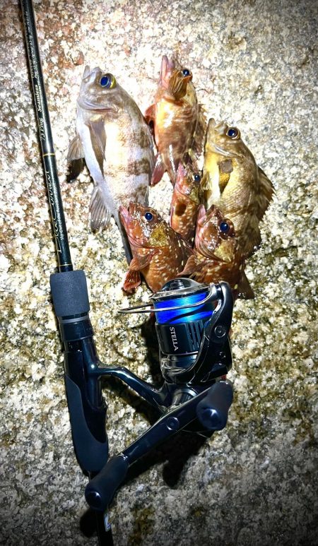 newロッド入魂🐟