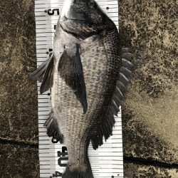 イチノ兄弟(兄)釣果!