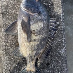 イチノ兄弟(兄)釣果!