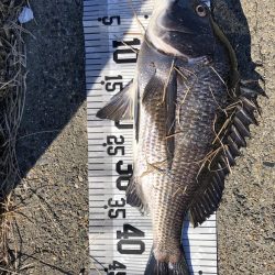 イチノ兄弟（兄）釣果！