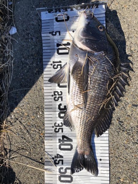 イチノ兄弟（兄）釣果！